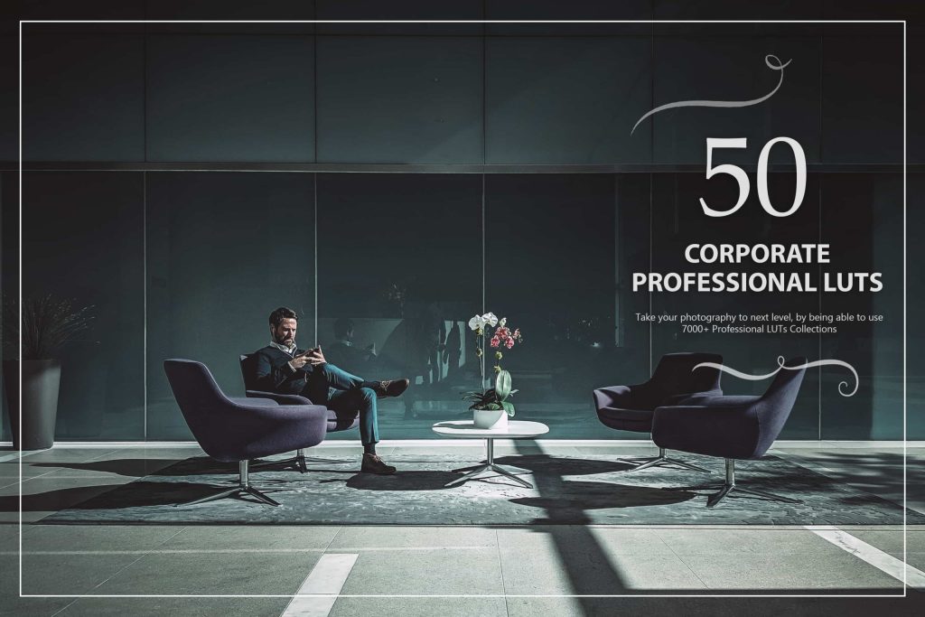 Corporate Color Correction Pack (100% discount)